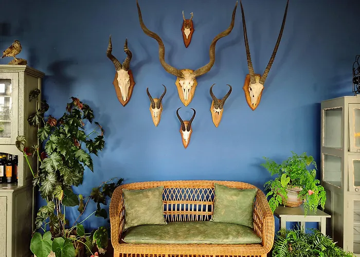 Bed & Breakfast Alto Boutique