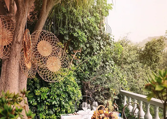 Alto Boutique Bed & Breakfast