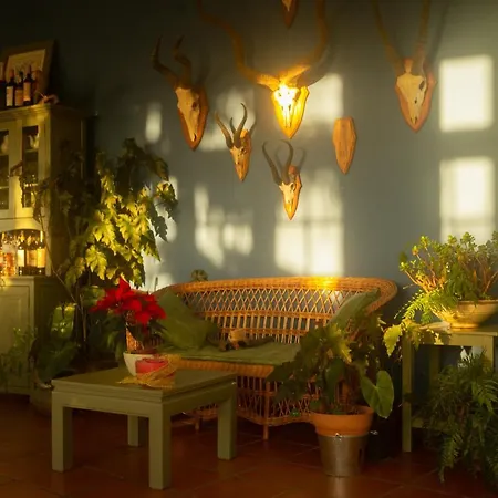 Alto Boutique Bed and Breakfast