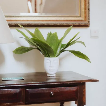 Alto Boutique Bed & Breakfast Ponta do Sol (Madeira)