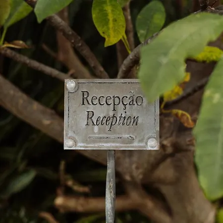 Bed and Breakfast Alto Boutique