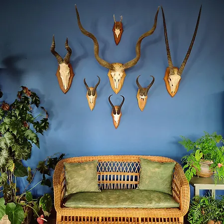 Bed and Breakfast Alto Boutique