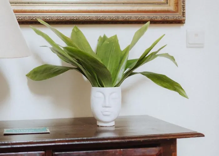 Alto Boutique Bed & Breakfast Ponta do Sol (Madeira)