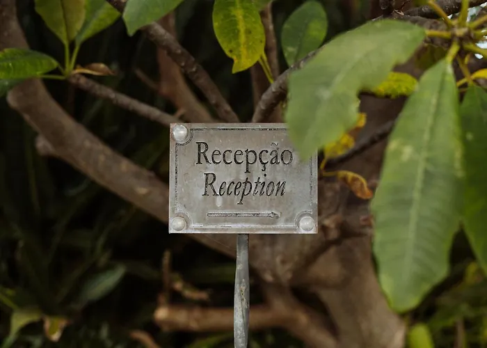 Bed & Breakfast Alto Boutique